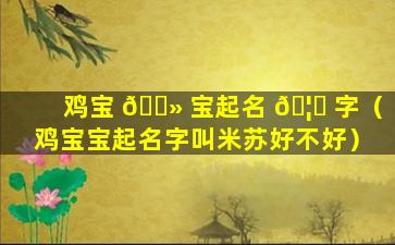 鸡宝 🌻 宝起名 🦍 字（鸡宝宝起名字叫米苏好不好）